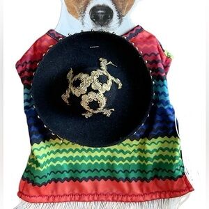 Colorful Amigo Pet Poncho Costume With Sombrero Hat Size Large